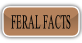 FERAL FACTS.