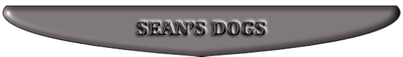 SEAN’S DOGS